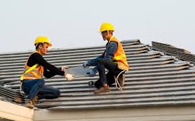 Best Roof Maintenance and Cleaning  in Cayuga, IN